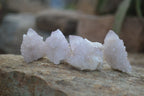 Natural Pale Lilac Spirit Quartz Crystals x 35 From Boekenhouthoek, South Africa - Toprock Gemstones and Minerals 