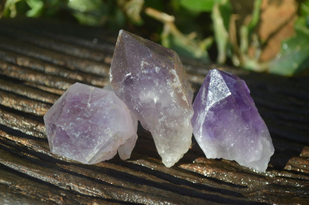 Natural Single Jacaranda Amethyst Crystals x 12 From Zambia - Toprock Gemstones and Minerals 