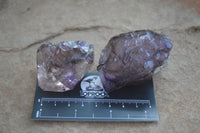 Natural Smokey Skeletal Amethyst Crystals  x 6 From Chiredzi, Zimbabwe - Toprock Gemstones and Minerals 
