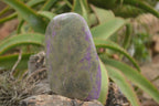 Polished Stichtite & Serpentine Standing Free Forms With Silky Purple Threads  x 3 From Barberton, South Africa - TopRock