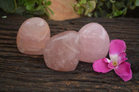 Polished Gemmy Pink Rose Quartz Standing Free Forms  x 3 From Ambatondrazaka, Madagascar - TopRock