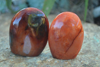 Polished Carnelian Agate Standing Free Forms  x 6 From Madagascar - Toprock Gemstones and Minerals 