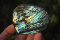 Polished Labradorite Standing Free Forms  x 6 From Tulear, Madagascar - Toprock Gemstones and Minerals 
