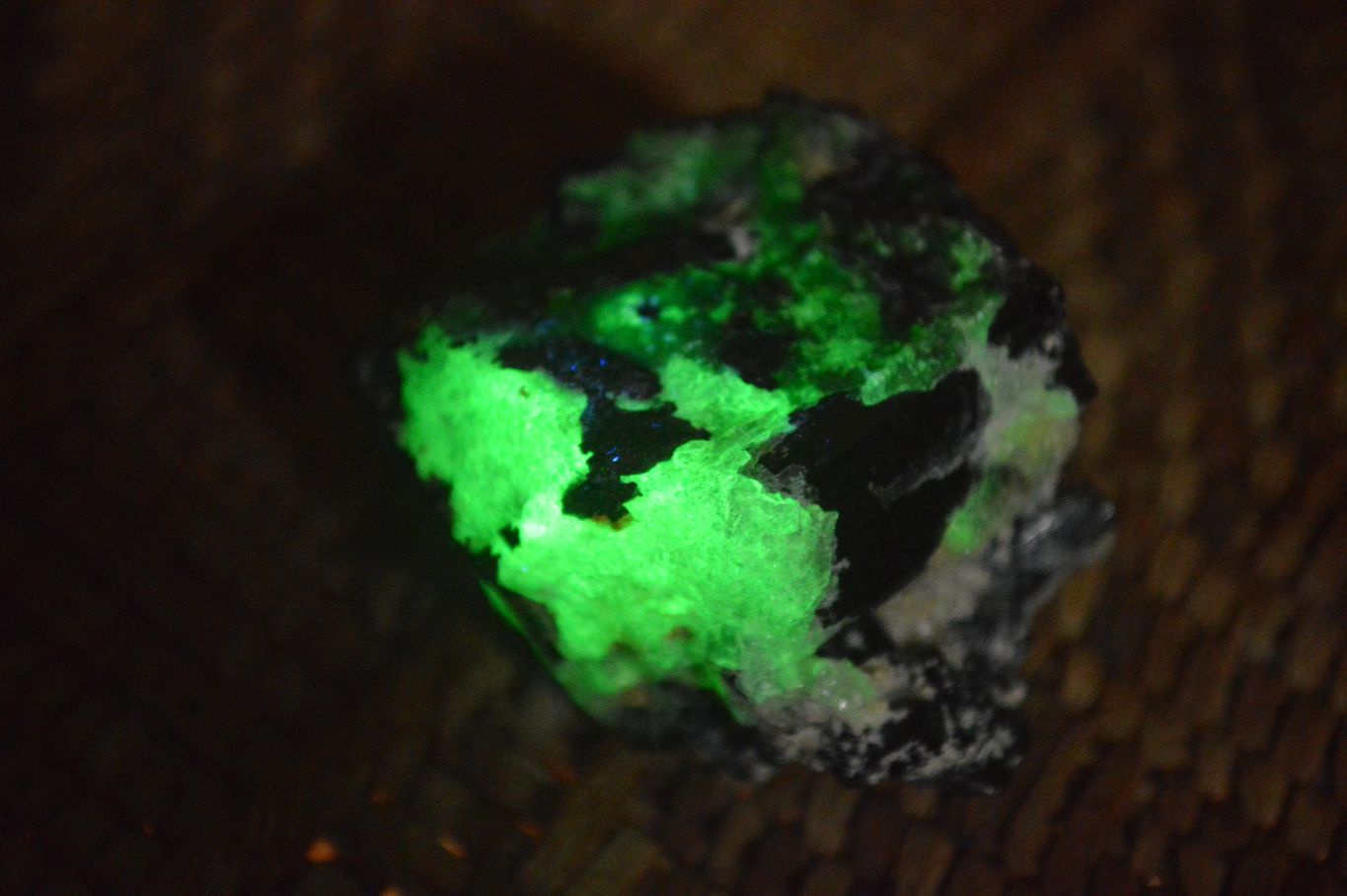 Natural Schorl Black Tourmaline Specimens x 12 From Erongo, Namibia - Toprock Gemstones and Minerals 