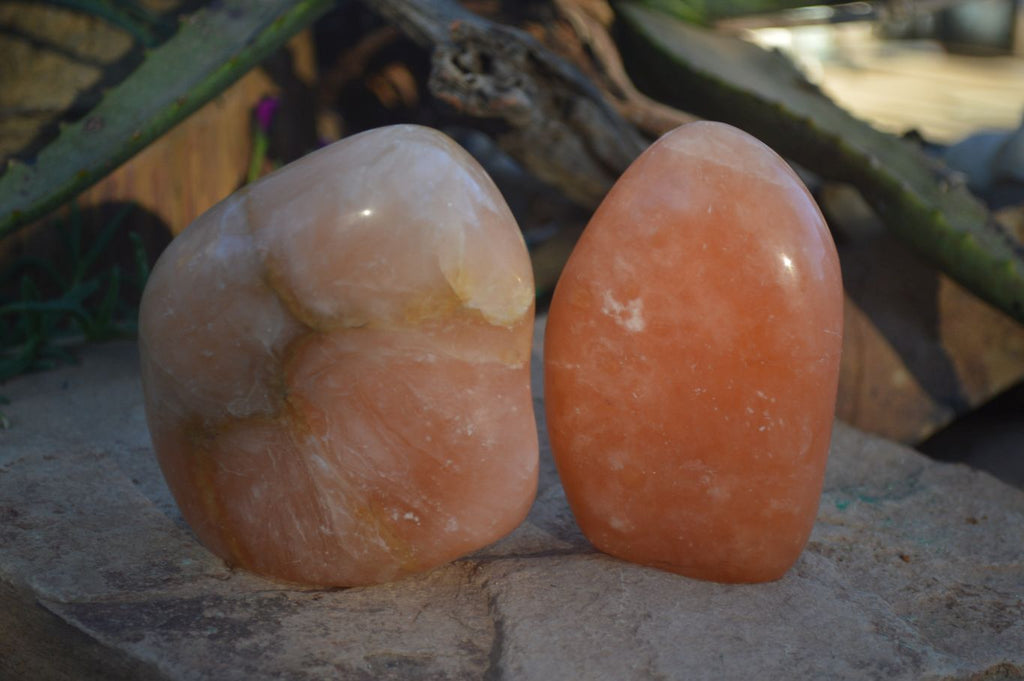 Polished Orange Twist Calcite Standing Free Forms  x 2 From Maevantanana, Madagascar - Toprock Gemstones and Minerals 