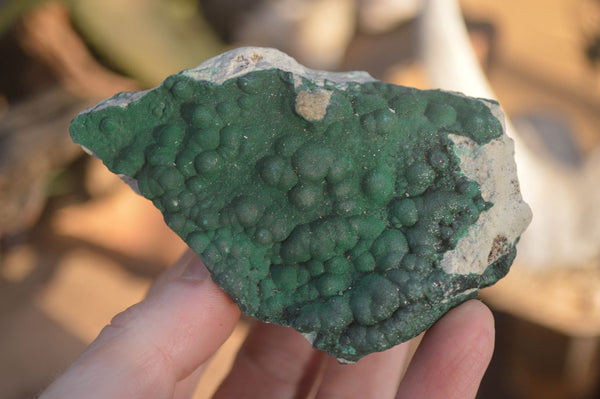 Natural Crystalline Micro Botryoidal Malachite Specimens  x 6 From Congo - Toprock Gemstones and Minerals 