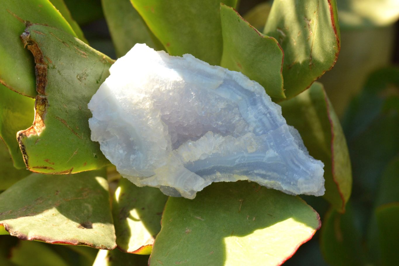Natural Etched Blue Chalcedony Agate Specimens  x 6 From Nsanje, Malawi - TopRock