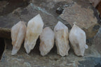Natural Highly Selected Pineapple Candle Quartz Crystals  x 12 From Madagascar - Toprock Gemstones and Minerals 
