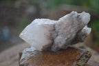 Natural Highly Selected Pineapple Candle Quartz Crystals  x 12 From Madagascar - Toprock Gemstones and Minerals 