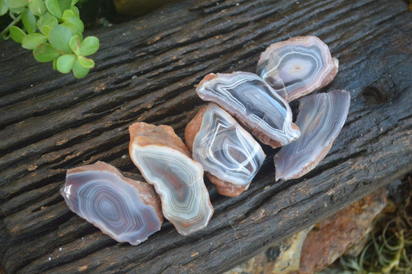 Polished Banded River Agate Nodules  x 6 From Sashe River, Zimbabwe - Toprock Gemstones and Minerals 