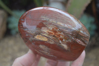 Polished Petrified Wood Standing Free Forms  x 4 From Madagascar - Toprock Gemstones and Minerals 