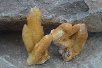 Natural Golden Limonite Solar Spirit Quartz Clusters / Crystals  x 35 From Boekenhouthoek, South Africa - Toprock Gemstones and Minerals 
