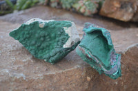 Natural Crystalline Micro Botryoidal Malachite Specimens  x 6 From Congo - Toprock Gemstones and Minerals 