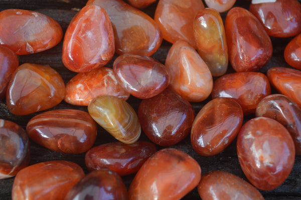 Polished Bright Red Mini Carnelian Free Forms - Sold per 1 kg - From Madagascar - Toprock Gemstones and Minerals 