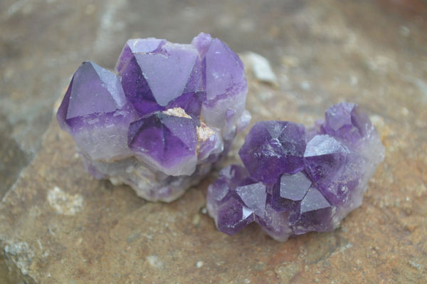 Natural Single Amethyst Crystals  x 35 From Zambia
