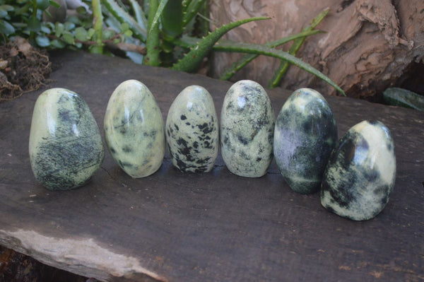 Polished Spotted Leopard Stone Standing Free Forms  x 6 From Zimbabwe - Toprock Gemstones and Minerals 