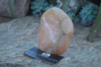 Polished Orange Twist Calcite Standing Free Forms  x 2 From Maevantanana, Madagascar - Toprock Gemstones and Minerals 