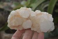 Natural Mixed Quartz Clusters  x 6 From Madagascar - Toprock Gemstones and Minerals 