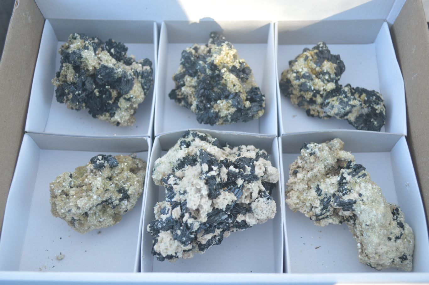 Natural Schorl Black Tourmaline Specimens x 6 From Erongo, Namibia - Toprock Gemstones and Minerals 