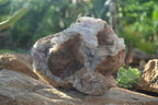 Natural Jacaranda Amethyst Cluster x 1 From Mumbwa, Zambia - TopRock
