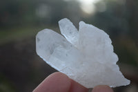 Natural Single Clear Quartz Crystals x 35 From Mpika, Zambia - Toprock Gemstones and Minerals 