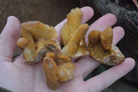 Natural Golden Limonite Solar Spirit Quartz Clusters / Crystals  x 35 From Boekenhouthoek, South Africa - Toprock Gemstones and Minerals 