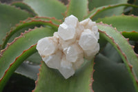 Natural Mixed Quartz Clusters  x 6 From Madagascar - Toprock Gemstones and Minerals 