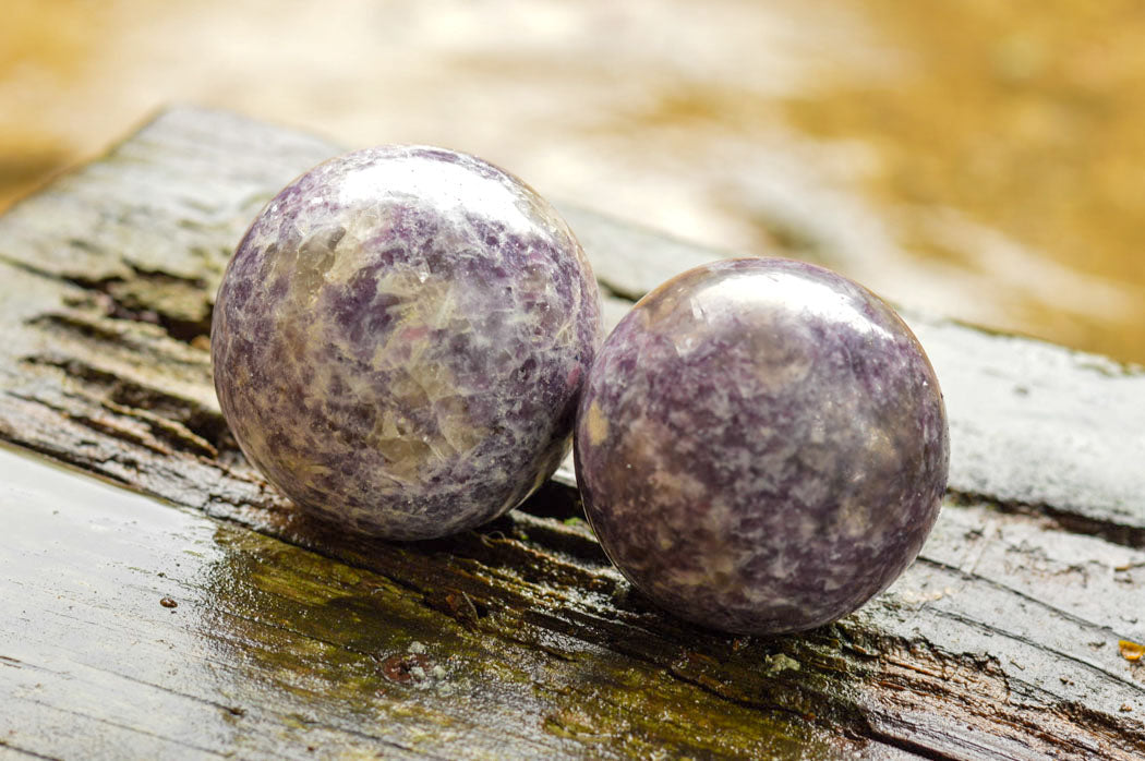 Polished Purple Lepidolite Mica Spheres  x 4 From Madagascar - TopRock