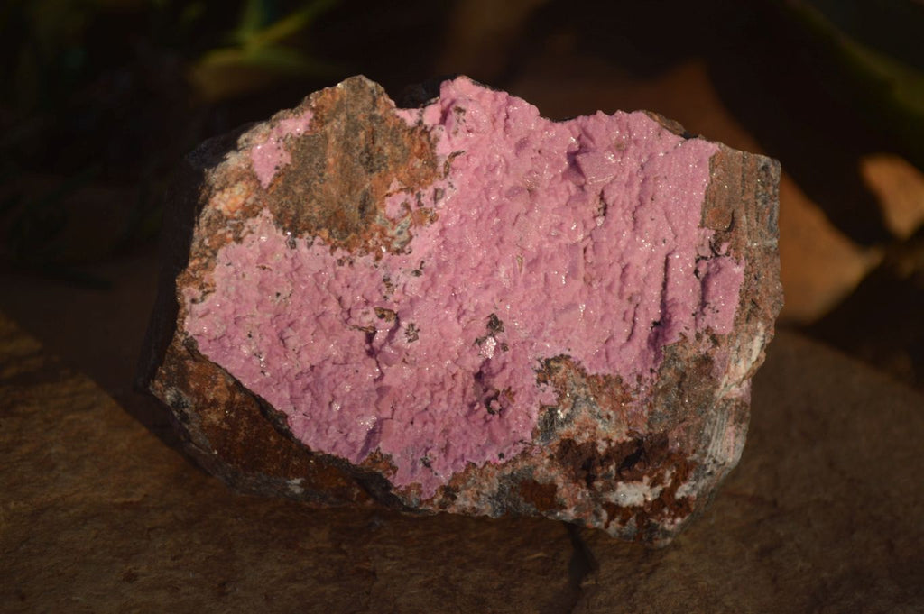 Natural Pink Salrose Cobaltion Dolomite Specimens  x 3 From Kakanda, Congo - Toprock Gemstones and Minerals 