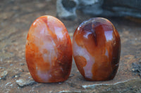 Polished Carnelian Agate Standing Free Forms  x 6 From Madagascar - Toprock Gemstones and Minerals 