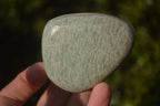 Polished Amazonite Free Forms  x 12 From Zimbabwe - Toprock Gemstones and Minerals 
