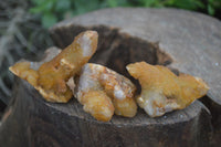 Natural Golden Limonite Solar Spirit Quartz Clusters / Crystals  x 35 From Boekenhouthoek, South Africa - Toprock Gemstones and Minerals 
