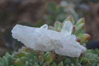 Natural Single Clear Quartz Crystals x 35 From Mpika, Zambia - Toprock Gemstones and Minerals 