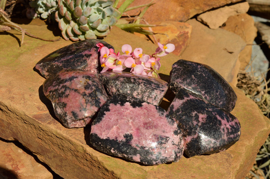 Polished One Side Polished Rhodonite Free Forms  x 6 From Ambindavato, Madagascar - TopRock