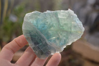 Natural Rough Watermelon Fluorite Cobbed Specimens  x 6 From Namibia