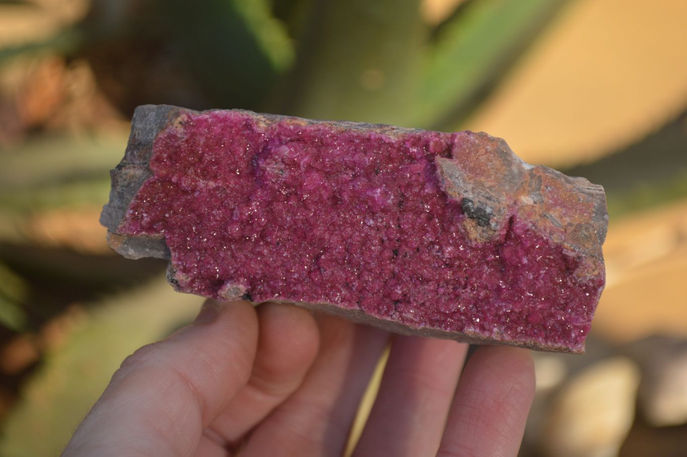 Natural Pink Salrose Cobaltion Dolomite Specimens  x 3 From Kakanda, Congo - Toprock Gemstones and Minerals 