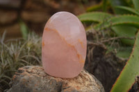 Polished Gemmy Pink Rose Quartz Standing Free Forms  x 3 From Ambatondrazaka, Madagascar - TopRock