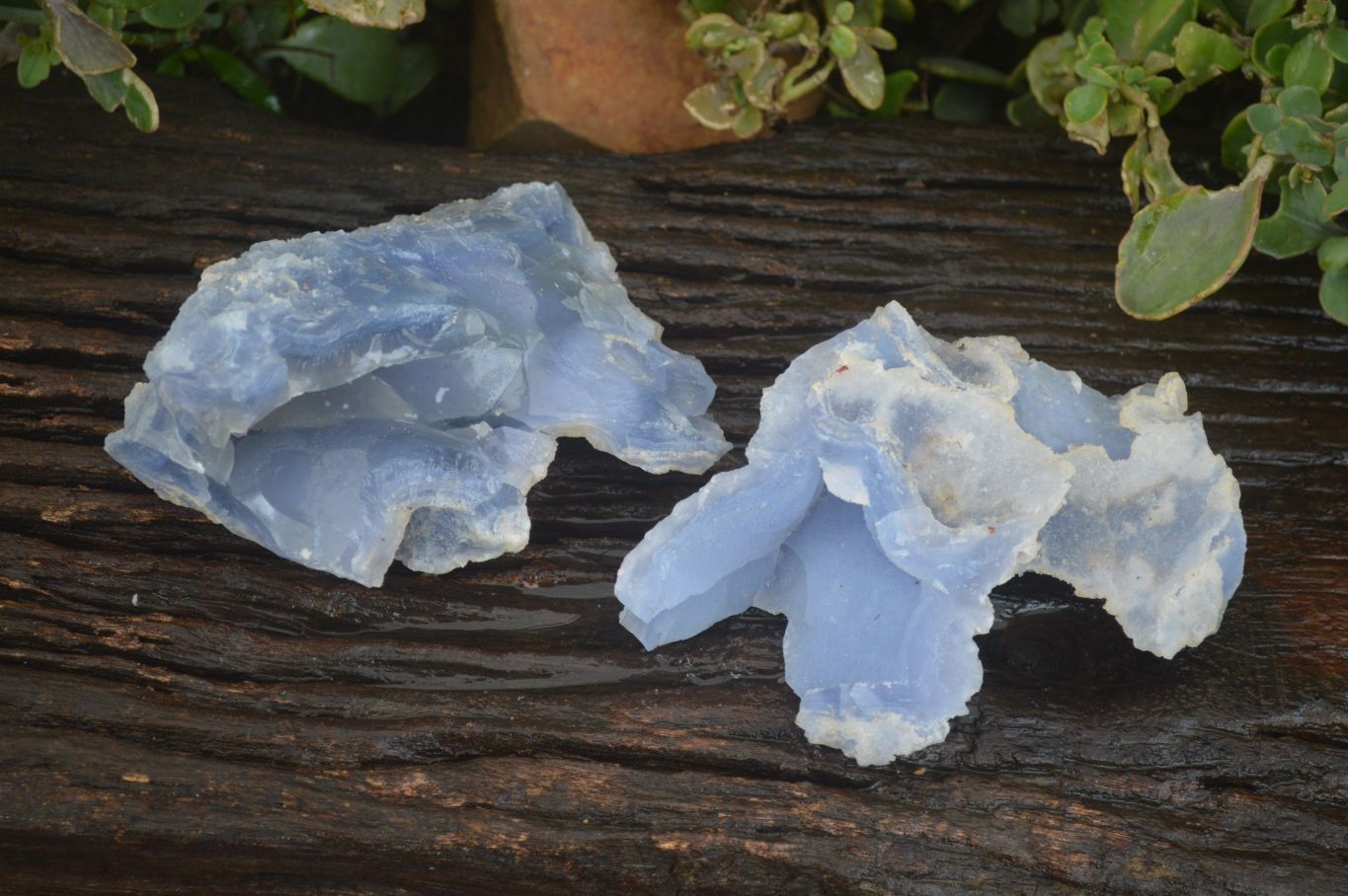 Natural Etched Blue Chalcedony Specimens  x 2 From Nsanje, Malawi - Toprock Gemstones and Minerals 