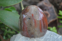 Polished Petrified Wood Standing Free Forms  x 4 From Madagascar - Toprock Gemstones and Minerals 
