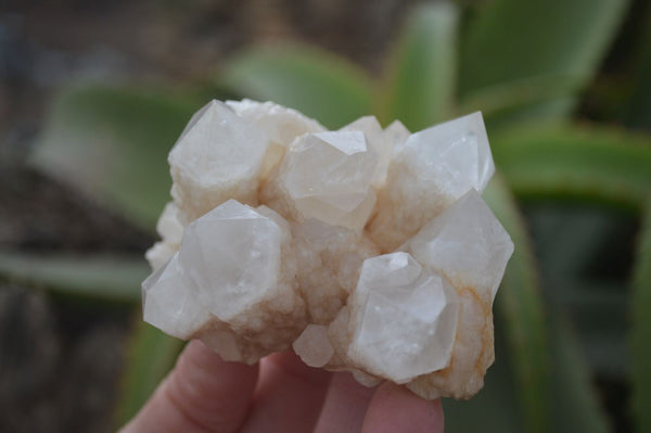 Natural Mixed Quartz Clusters  x 6 From Madagascar - Toprock Gemstones and Minerals 