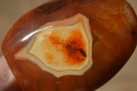 Polished Carnelian Agate Standing Free Forms  x 6 From Madagascar - Toprock Gemstones and Minerals 