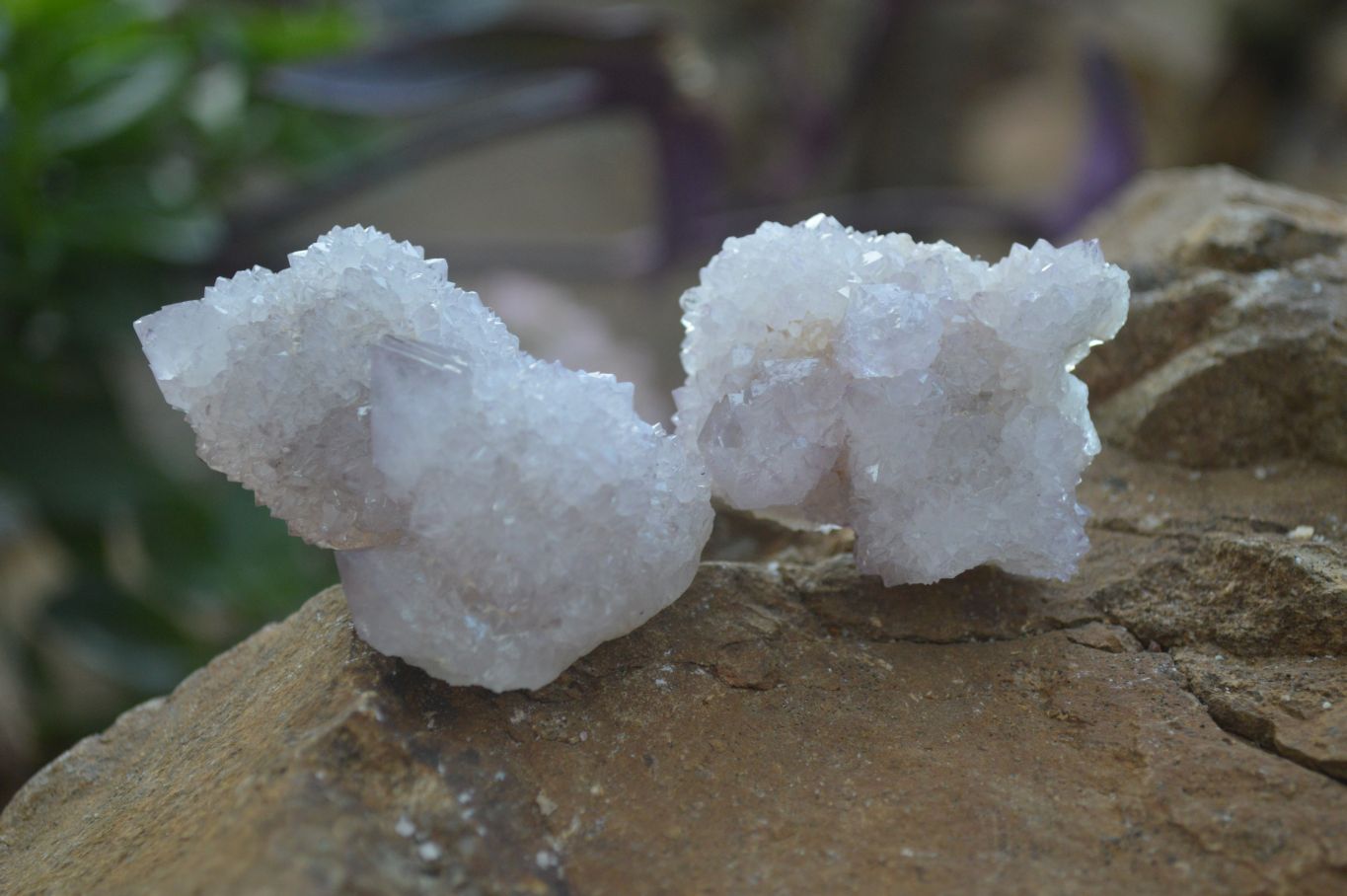 Natural Pale Lilac Spirit Quartz Crystals x 35 From Boekenhouthoek, South Africa - Toprock Gemstones and Minerals 