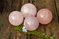 Polished Lovely Pink Rose Quartz Spheres x 4 From Ambatondrazaka, Madagascar - TopRock