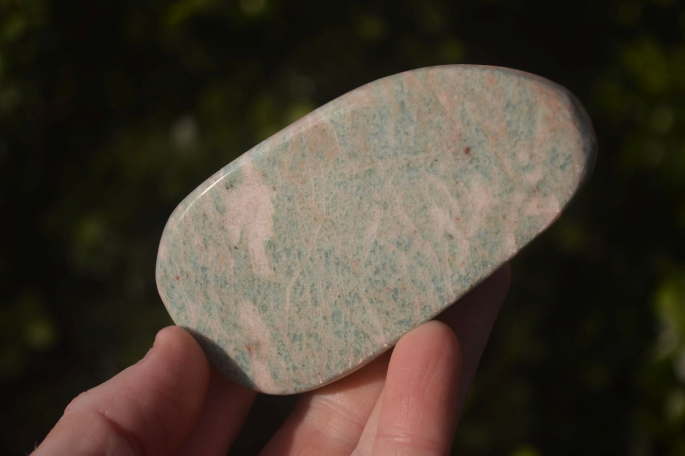 Polished Amazonite Free Forms  x 12 From Zimbabwe - Toprock Gemstones and Minerals 