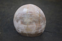 Polished Petrified Wood Standing Free Forms  x 4 From Madagascar - Toprock Gemstones and Minerals 
