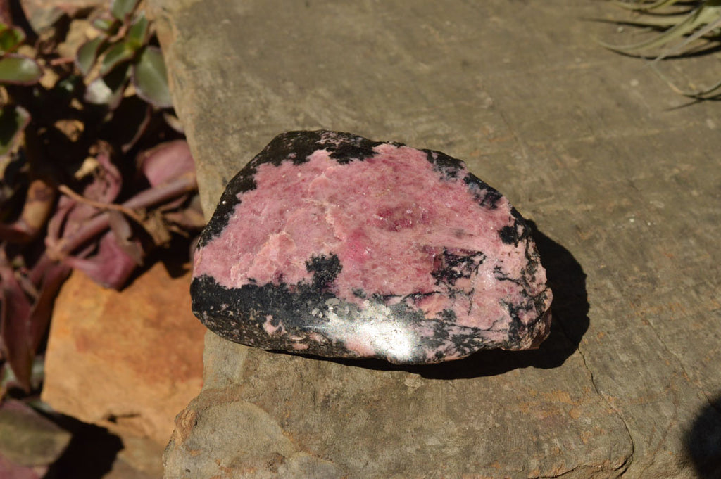 Polished One Side Polished Rhodonite Free Forms  x 6 From Ambindavato, Madagascar - TopRock