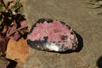 Polished One Side Polished Rhodonite Free Forms  x 6 From Ambindavato, Madagascar - TopRock