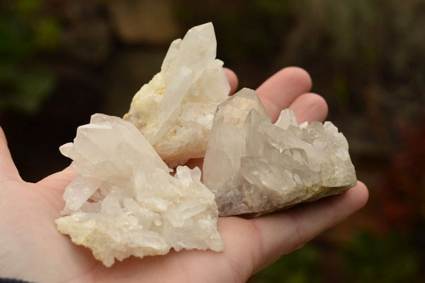 Natural Small Mixed Quartz Clusters  x 35 From Madagascar - TopRock
