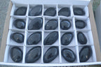 Polished Schorl Black Tourmaline Palm Stones  x 20 From Madagascar - Toprock Gemstones and Minerals 