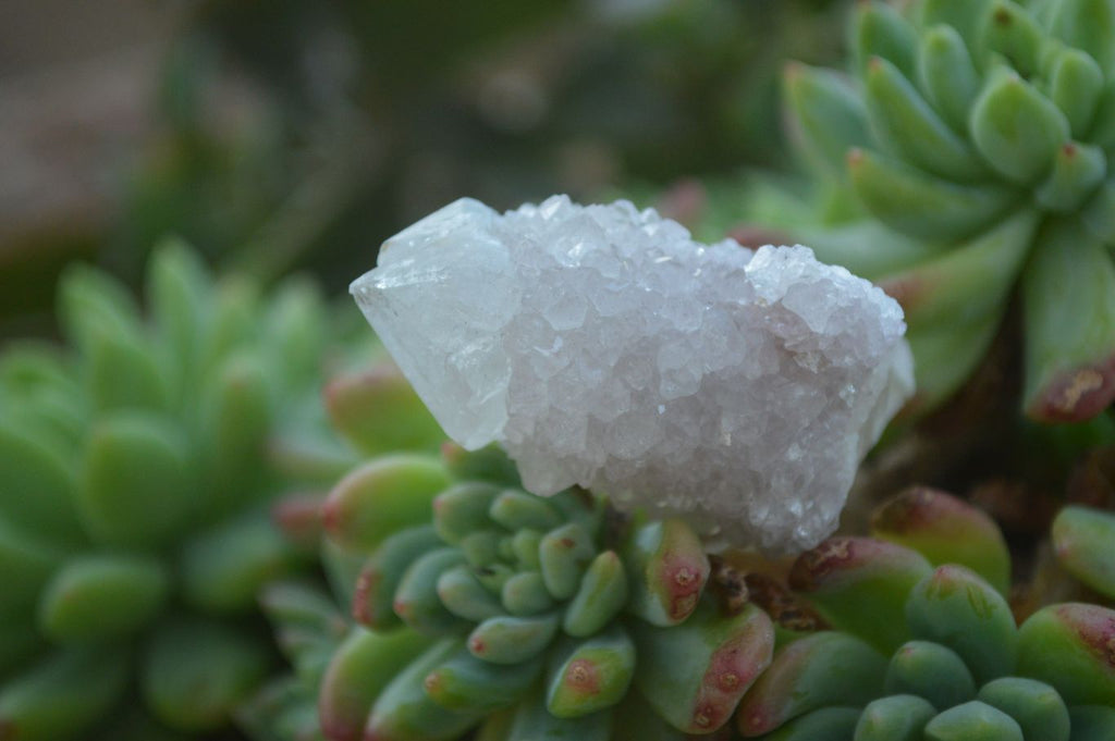 Natural Pale Lilac Spirit Quartz Crystals x 35 From Boekenhouthoek, South Africa - Toprock Gemstones and Minerals 